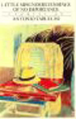 Little Misunderstandings of No Importance  9780811211116 Front Cover