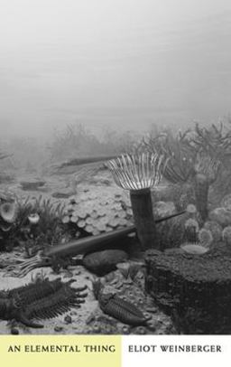 Elemental Thing  9780811216944 Front Cover