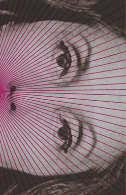 Complete Stories  9780811219631 Front Cover