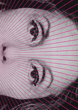 Complete Stories  9780811227933 Front Cover