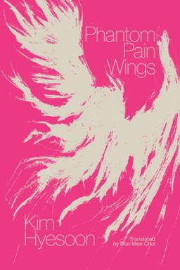 Phantom Pain Wings  9780811231718 Front Cover