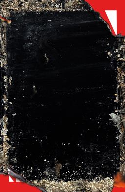 Baron Wenckheim's Homecoming