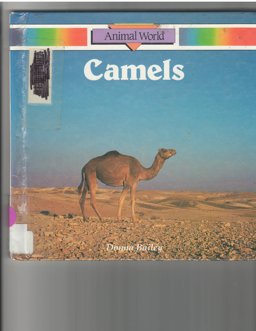 Camels