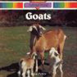 Goats