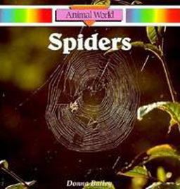Spiders