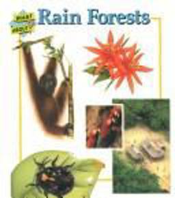 Rain Forests