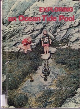 Exploring an Ocean Tide Pool