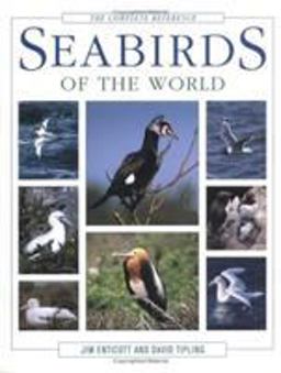 Seabirds of the World