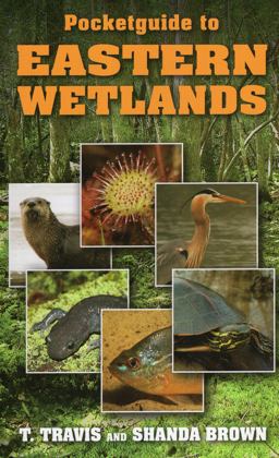 Pocketguide to Eastern Wetlands  9780811711739 Front Cover