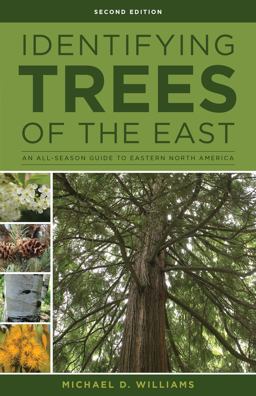 Identifying Trees An All-Season Guide to Eastern North America 2nd 9780811718301 Front Cover