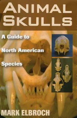 Animal Skulls A Guide to North American Species  9780811733090 Front Cover