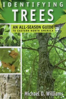 Identifying Trees An All-Season Guide to Eastern North America  9780811733601 Front Cover