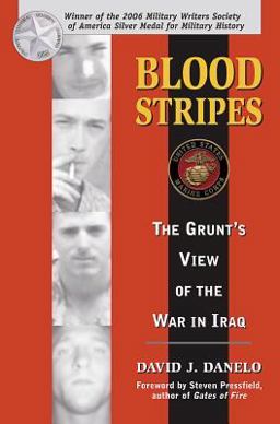 Blood Stripes The Grunt's View of the War in Iraq  9780811733939 Front Cover