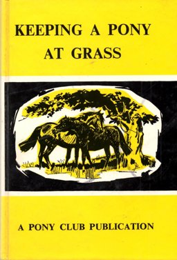 Keeping a Pony at Grass
