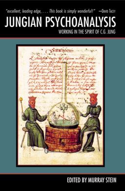 Jungian Psychoanalysis Working in the Spirit of Carl Jung  9780812696684 Front Cover