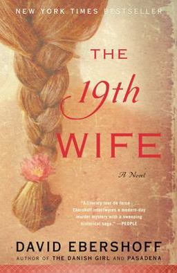 19th Wife A Novel  9780812974157 Front Cover