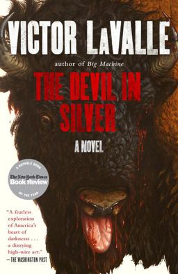 Devil in Silver A Novel  9780812982251 Front Cover