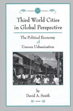 Third World Cities in Global Perspective