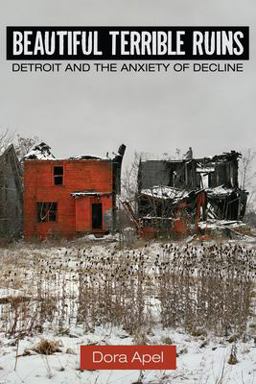 Beautiful Terrible Ruins Detroit and the Anxiety of Decline  9780813574066 Front Cover