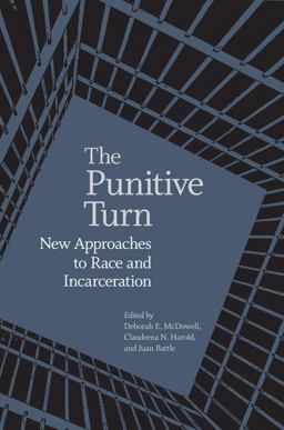 Punitive Turn New Approaches to Race and Incarceration  9780813935201 Front Cover