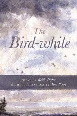 The Bird-While The Bird-While