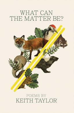 What Can the Matter Be? What Can the Matter Be?