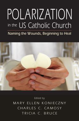 Polarization in the US Catholic Church Naming the Wounds, Beginning to Heal  9780814646656 Front Cover