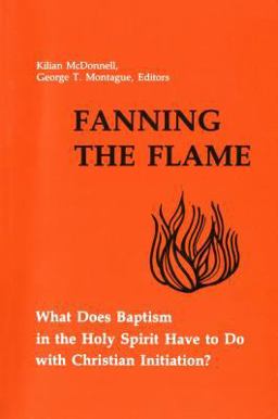 Fanning the Flame What Does Baptism in the Holy Spirit Have to Do with Christian Initiation?  9780814650134 Front Cover