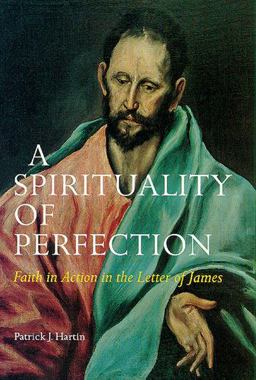 A Spirituality of Perfection Faith in Action in the Letter of James  9780814658956 Front Cover