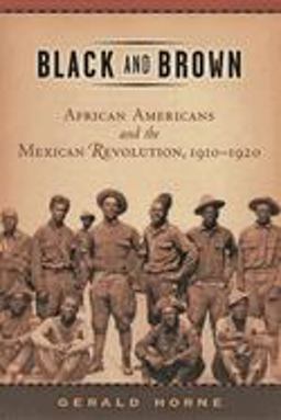Black and Brown African Americans and the Mexican Revolution, 1910-1920  9780814736739 Front Cover