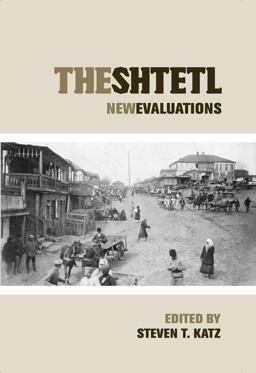 Shtetl New Evaluations  9780814748312 Front Cover