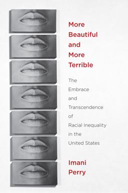 More Beautiful and More Terrible The Embrace and Transcendence of Racial Inequality in the United States  9780814767375 Front Cover