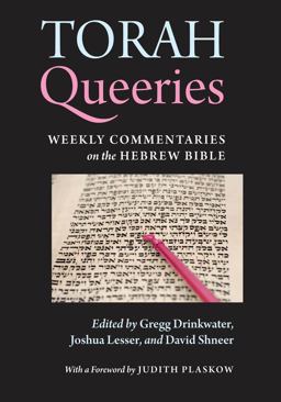 Torah Queeries Weekly Commentaries on the Hebrew Bible  9780814769775 Front Cover