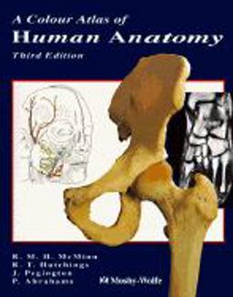 A Colour Atlas of Human Anatomy