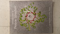 Introduction to Protein Structure