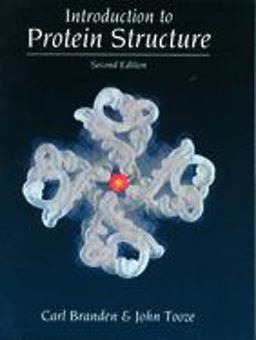 Introduction to Protein Structure