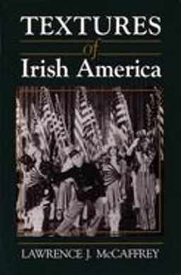 Textures of Irish America  9780815605218 Front Cover