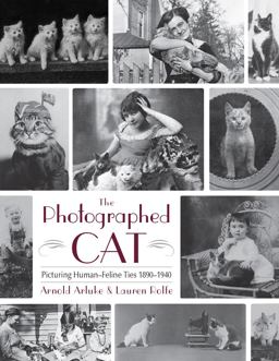 The Photographed Cat