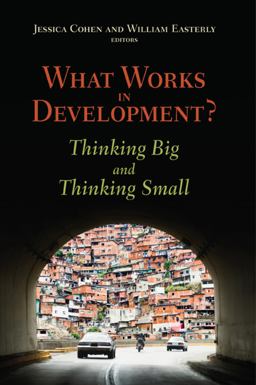 What Works in Development? Thinking Big and Thinking Small  9780815702825 Front Cover