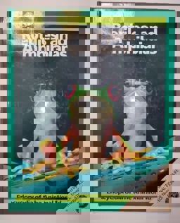 Reptiles and Amphibians