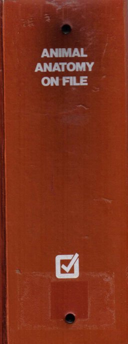 Animal Anatomy on File