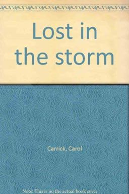 Lost in the Storm
