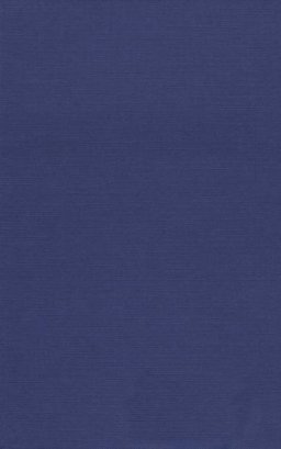 Ace Place and Gender