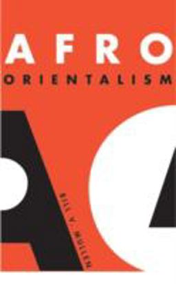 Afro Orientalism  9780816637492 Front Cover