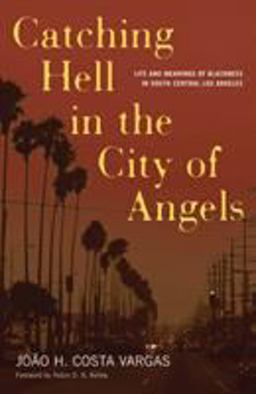 Catching Hell in the City of Angels Life and Meanings of Blackness in South Central Los Angeles  9780816641697 Front Cover