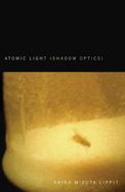 Atomic Light (Shadow Optics)  9780816646111 Front Cover