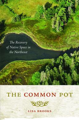 Common Pot The Recovery of Native Space in the Northeast  9780816647842 Front Cover