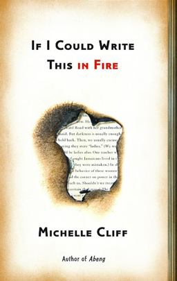 If I Could Write This in Fire  9780816654741 Front Cover