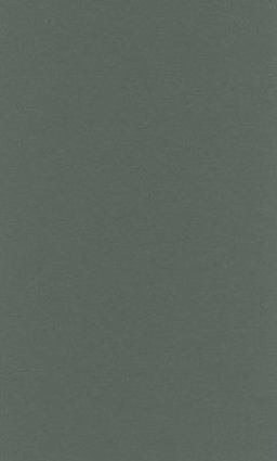 Black and Indigenous