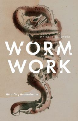 Worm Work Recasting Romanticism  9780816673216 Front Cover